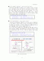 자기부상시스템의원리 14페이지