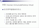 에이즈의 이해에 대한 발표자료 2페이지