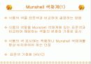 식품의 색도 9페이지