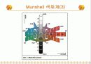 식품의 색도 11페이지