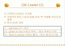 식품의 색도 14페이지