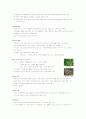 나무의 이해 강의 자료 및 족보 55페이지