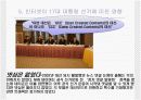 인터넷이 선거에 미치는 영향 11페이지