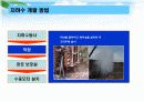 [경영학+환경공학] 지하수의 무분별한 개발과 문제점 12페이지