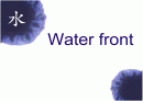 [환경공학+경영학] Water front에 관하여 1페이지