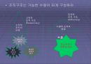 잭웰치의 위대한 승리 팀 프로젝트 ppt 27페이지