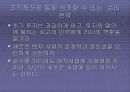 잭웰치의 위대한 승리 팀 프로젝트 ppt 48페이지