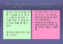 잭웰치의 위대한 승리 팀 프로젝트 ppt 61페이지