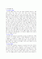 이랜드의 마케팅 성공사례 17페이지