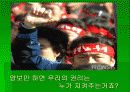 [사회학PPT] 비정규직과 비정규직보호법 5페이지