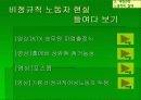 [사회학PPT] 비정규직과 비정규직보호법 11페이지