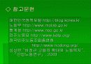 [사회학PPT] 비정규직과 비정규직보호법 21페이지