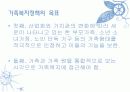 한국 가족(아동, 여성) 복지정책의 현황 8페이지