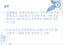 한국 가족(아동, 여성) 복지정책의 현황 26페이지