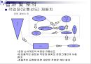특장차 공장견학  75페이지