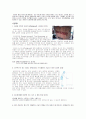 잘못된 디자인 사례 2페이지