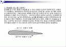 부메랑의 원리 (양력의 적용사례) 2페이지