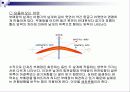 부메랑의 원리 (양력의 적용사례) 3페이지