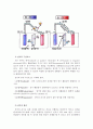 [공학/컴퓨터/통신] 화학전지 실험 보고서 4페이지