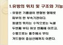 유방암에 대해서ppt 3페이지