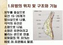 유방암에 대해서ppt 4페이지