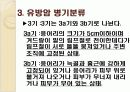 유방암에 대해서ppt 10페이지