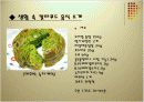 칼라푸드(ColorFood)에 대해서.. 8페이지