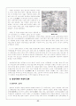 『주원장전』과 明나라  23페이지