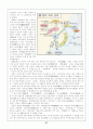『주원장전』과 明나라  37페이지