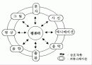 TBP12과 컴퓨터상호작용 collaborative projects  4페이지