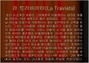 오페라의 이해 PPT 자료 14페이지