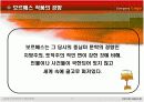 보르헤스의 문학 이해 5페이지