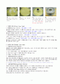 제과제빵실습 4페이지
