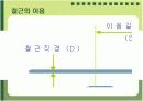 철근콘크리트(구조,배근,슬래브,거푸집) 11페이지