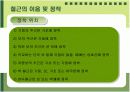 철근콘크리트(구조,배근,슬래브,거푸집) 12페이지