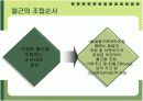 철근콘크리트(구조,배근,슬래브,거푸집) 15페이지