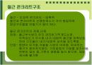 철근콘크리트(구조,배근,슬래브,거푸집) 18페이지