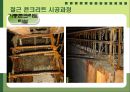 철근콘크리트(구조,배근,슬래브,거푸집) 25페이지