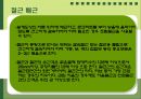 철근콘크리트(구조,배근,슬래브,거푸집) 27페이지