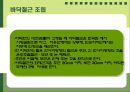 철근콘크리트(구조,배근,슬래브,거푸집) 39페이지