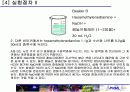 나일론 합성 10페이지