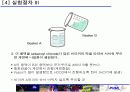 나일론 합성 11페이지