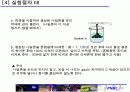 나일론 합성 12페이지