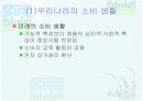 소비 생활의 변화 15페이지