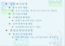 소비 생활의 변화 24페이지