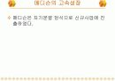 메디슨의 고속성장과 추락 7페이지