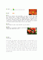 군자란 - 실과레포트 2페이지