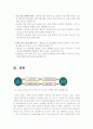 [미국금융위기]미국금융위기에 대한 세계경제및 한국경제에 대한 전망과 대책-미국금융위기원인,미국금융위기 현황 18페이지