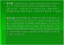주상복합 아파트의 주거문화 10페이지