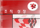 조직성장(수명주기 모형 성장주기 모형) 1페이지
